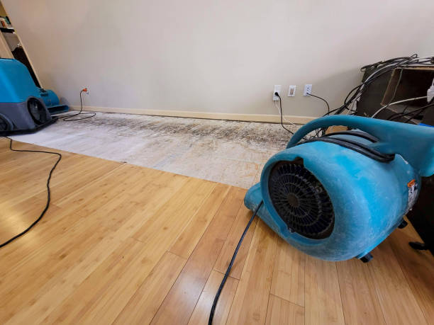 Professional Burst Pipe Water Damage technician working in Palm Bay, FL